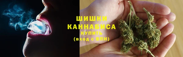 прущий лед Бородино