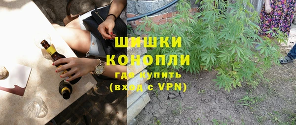 прущий лед Бородино