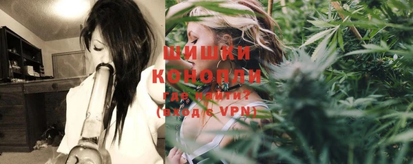 ГАЛЛЮЦИНОГЕННЫЕ ГРИБЫ Бугульма