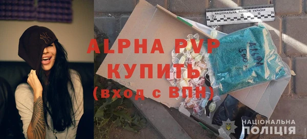 прущий лед Бородино