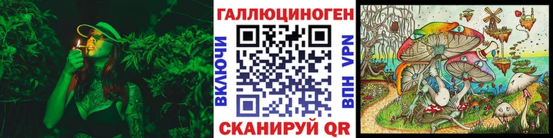 площадка состав  гидра зеркало  Будённовск  Галлюциногенные грибы Cubensis 