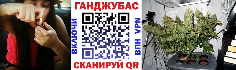 OMG tor  Будённовск  Каннабис сатива 